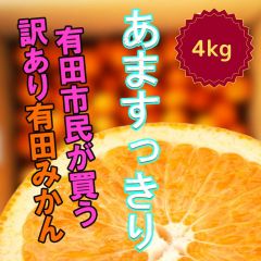 有田の八朔 はっさく 有田みかん 4㎏ 産地直送 減農薬 蜜柑 濃厚 甘い