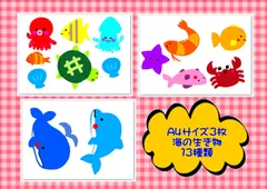 海の生き物　イラスト　イルカ　クジラ　魚　保育　知育　13種類　A4サイズ　3枚