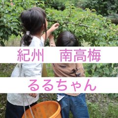 517⚫︎黄梅　Μ 3kg