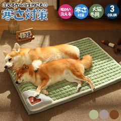 Item thumbnail for item 1c494404-a2ea-4191-9827-02459f9e5efe