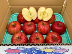 信州産「赤田の家」サンふじ　10個入り3k箱