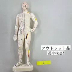 2024年最新】人体模型の人気アイテム - メルカリ