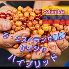 コロンビア★ ラ・エスペランサ農園 ゲイシャ ハイブリッドウォッシュ★スペシャリティコーヒー　150g入り★コロンビア珈琲豆★自家焙煎コーヒー豆★エムリバーサイドコーヒー