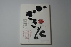 良香】多肉植物 大輪咲 花サボテン 緑の芯 - メルカリ