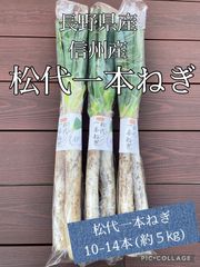 【松代一本ねぎ　10-14本】長野県産　信州産