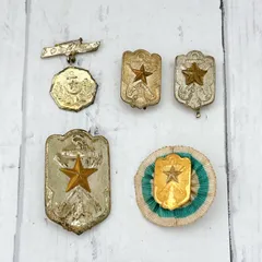 帝国 勲章 バッジ 軍人会 レトロ Yahoo!オークション -「帝国在郷軍人会」(勲章) (徽章)の落札