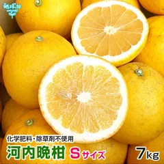 河内晩柑 7kg Sサイズ 特別栽培 化学肥料・除草剤不使用 熊本 鹿児島 小玉 ミニ 和製グレープフルーツ かわちばんかん 訳あり 規格外 発送期間3月～5月のサムネイル