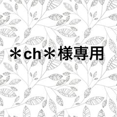 専用ページ