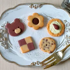 樹脂粘土 チョコレートモチーフクッキー　マグネット 5個セット　ハンドメイド　フェイクスイーツ　フェイククッキー　食品サンプル