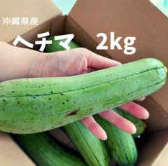 数量限定！大好評　沖縄産ヘチマ　2キロ   糸瓜
