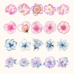 【在庫処分】大きいサイズ プレゼント コップシール モバイフォ パソコン 自転車 日記 ４０枚 ノート 手帳 コラージュ コラージュ デザインペーパー 透明花シール ステッカー (美しい花) レトロ フレークシール かわいい 花シールセット 素材シール YOV