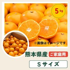 選果落ち 訳あり商品 熊本県産 みかん 約5kg 箱込み Sサイズ サイズ指定【002】極早生みかん 早生みかん 温州みかん 金峰 今村  熊本 九州 みかん 熊本産  蜜柑 食品 家庭用 訳あり 贈答不可 その他 果物 フルーツ