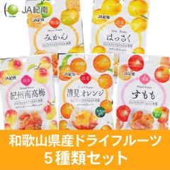 JA紀南　和歌山県産　ドライフルーツ5種類セット　国産　南高梅　みかん　すもも