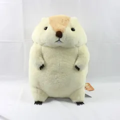 2025年最新】マーモット もっとっと bigの人気アイテム - メルカリ