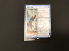 MTG 嵐追いの才能 (ノンフォイル) 4枚 MTG 嵐追いの才能 日本語 4枚セット 71f8nQkiFgL._UF350