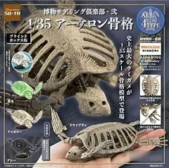 2025年最新】アーケロの人気アイテム - メルカリ