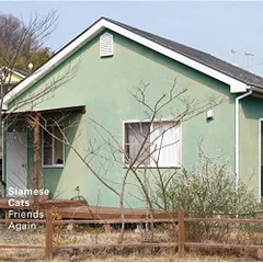 2025年最新】Friends Again シャムキャッツの人気アイテム