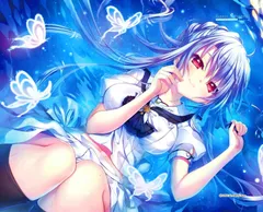 未開封┃豪華限定版 Summer Pockets REFLECTION BLUE Amazon | Summer Pockets REFLECTION BLUE 豪華限定版 | PC