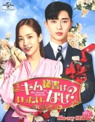 値下げ❗️パクソジュン主演キム秘書はいったい、なぜ?blu-ray全話セット