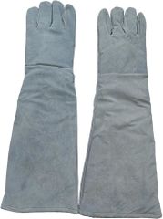 Item thumbnail for item 59aa399a-e297-4951-9723-213d14c47111