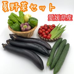 夏野菜セット 農家直送　詰め合わせ 野菜セット