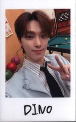 SEVENTEEN 2025 HOLIDAY DINO INSTANT PHOTO STICKER CARD