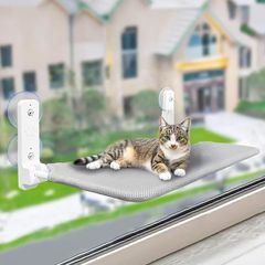 Item thumbnail for item c9053b34-4edd-4ca9-89c8-639046f8d501