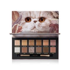 Item thumbnail for item bac2ac5d-eefe-4328-8653-bf83ed386663