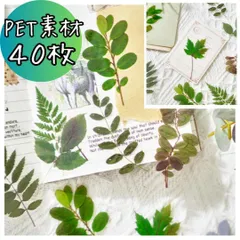 植物柄フレークシール 緑 葉っぱ コラージュ素材 紙モノ PET おすそ分け まとめ売り お花 紙もの ジャンクジャーナル スクラップブッキング トラベラーズノート 材料 手芸 工作 ラッピング 包装 手紙 手帳 ラベル ステッカー デコレーション