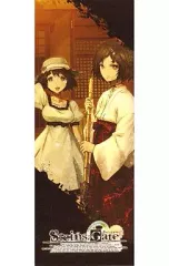 2025年最新】STEINS;GATE マイクロファイバータオルの人気アイテム