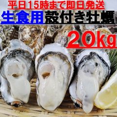 生食用 殻付き 牡蠣 ２０ｋｇ（約220粒）牡蠣 殻付き 牡蛎 牡蠣 殻付宮城県