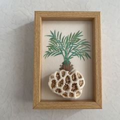 フレームアート ウエディングドレス シーグラスアート ☆オーダー