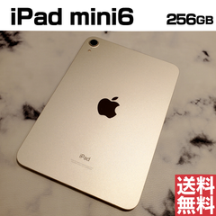 [No.M498] iPad mini6 256GB【バッテリー91％】