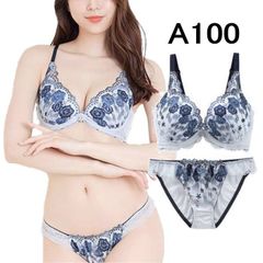 大きいサイズ ブラジャー ブラ ショーツ アンダー100 Aカップ ブラショーツセット 大きいサイズ 大きい アンダーバスト A100 ブラジャー ブラ 大きいサイズ ブラショーツ 上下セット A100