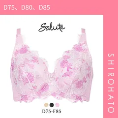 新品タグ付き Salute ブラジャーショーツセット D80 ニッセン ブラ＆ショーツ セット (A70/M-D80/L) 脇高 編レース