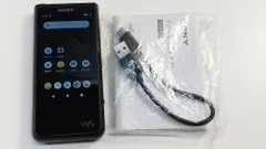 SONY NW-ZX507 ＋おまけ（ガラスフィルム2箱、予備キャップ）