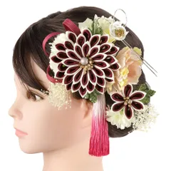 髪飾り 成人式 水引 つまみ細工 赤 ゴールド 振袖 前撮り 袴 花 臙脂 ワインレッド 白 生成 房 組紐 カスミソウ 大きい 小さい No.9-5580