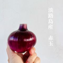 【鮮やかおいしい！】淡路島産　赤玉　玉ねぎ　タマネギ　たまねぎ　赤い　紫　3kg