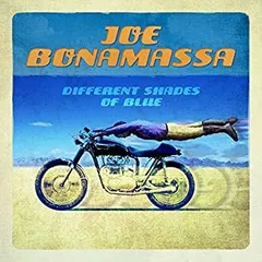 【中古-非常に良い】 Different Shades of Blue