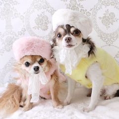 ファーベレー帽 帽子 ベレー帽 犬服 ペット服 小型犬服 秋冬 アクセサリー 紐付き