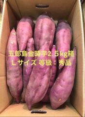 5kg沖縄県産 摘果マンゴー(お漬物用）60g～日々肥大 青マンゴー - メルカリ
