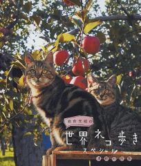 Item thumbnail for item e68ea83e-0d84-4682-8e06-39474a6452b0