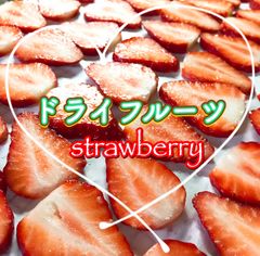 ★季節限定ドライフルーツいちご ★とちおとめ 他☆国内産☆無料ラッピング承り中
