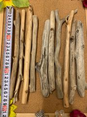 流木 10本 セット 30cm未満ばかり