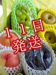 kakinyan様専用クール便☆１１日発送☆