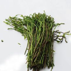 予約　天然山菜・あけびの芽１ｋｇ(大小バラ詰め)