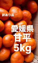 愛媛県　甘平　柑橘　 5kg