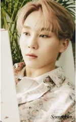 【中古】コレクションカード(男性) SEVENTEEN/SEUNGKWAN(スングァン)/CD「Your Choice」HMV・Loppi特典スペシャルフォトカード