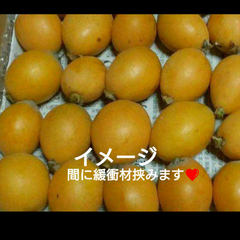 びわ☆農薬:栽培期間中不使用、除草剤不使用