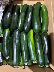 沖縄県産　やや訳ありズッキーニ　5キロ